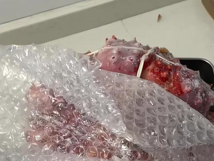 新年快乐呀!今天做了葱姜炒蟹,松鼠桂鱼,油墩子粉丝汤,番茄炒蛋!#我的厨房日记 #今天吃什么 #在家做美食 #新年快乐 #日常分享