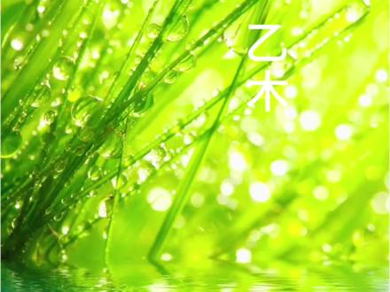 滴天髓讲乙木干货#八字命理#传统文化#易学智慧#国学文化#滴天髓