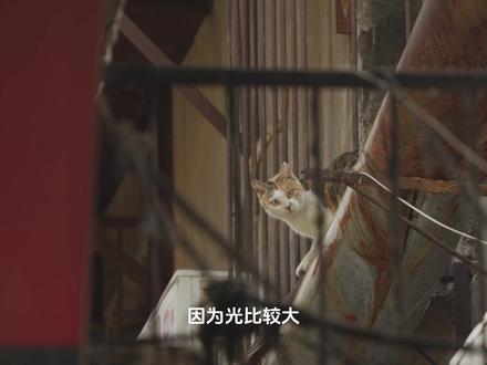 使用log格式拍视频太灰?还原lut并不还原?别着急,一个操作帮你完美还原视频真实色彩!
@德塔颜色datacolor @米拍摄影APP
#干货分享 #米拍好物众拍 #德塔颜色 #摄影教学 #调色