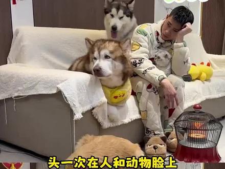 😅羡慕不了一点儿🥹