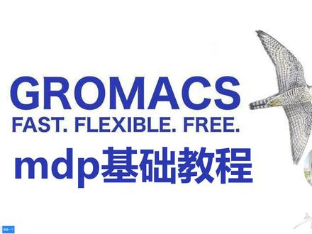 gromacs-mdp基础讲解-1预处理设置 #分子动力学模拟 #gromacs #教程分享