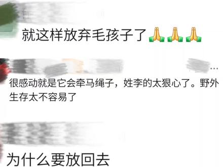 她明明是最爱格林的人啊 #重返狼群 #李微漪 #格林