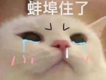 记住了,比abandon记得还要牢!#四级作文submission @DOU+上热门