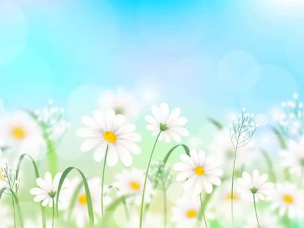 一款永久免费使用的福昕PDF高级编辑器 绿色版 无需安装 #pdf转word #pdf教程 #pdf在线