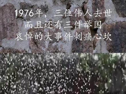 #珍贵影像#历史故事#人物故事