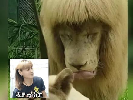 笑喷!老家杭州的“齐刘海”火上热搜!工作人员:这发型我们不敢剪。(来源:南方都市报 钱江晚报等)#浙江dou知道 #可爱到爆炸💥