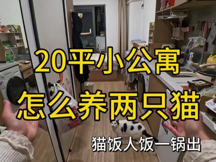 养两只猫 饭好做吗?吃不到一起咋办
#养猫 #猫饭 #自制猫饭 #养猫人