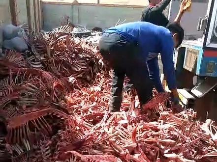 外蒙物价有多低,羊肉多便宜,从扔羊骨架就看出来了#好食材好味道