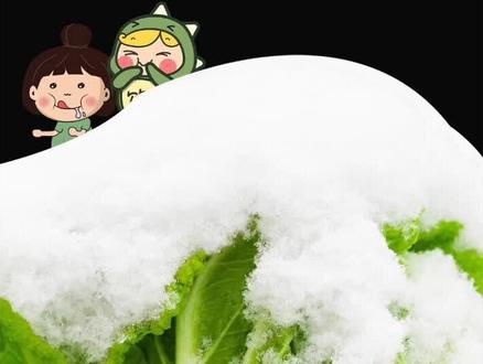 你知道为什么秋冬季节的蔬菜特别好吃吗?特别是遭霜打过后,蔬菜吃起来更甜 #冷知识 #降霜