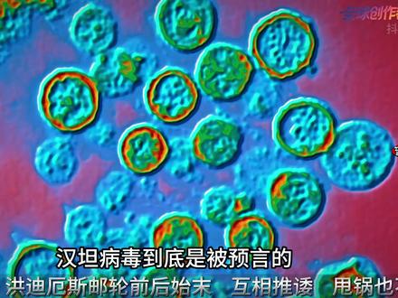 汉坦病毒疫情的原因始末,豪华邮轮变成恐怖邮轮,丑恶嘴脸! #零基础看懂全球 #全球创作者计划