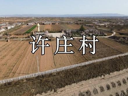 赵庄镇许庄村 《澄城县地名志》记述,许庄村据家谱记载,元元贞年间(公元1295~1297年)建村,因姓氏得名。据此可知,许庄村最早住户为许氏家族。民间又有传说,“先有白家陵,后有许庄城。”城上村建于明洪武十三年(公元1380年),因地形似城堡而得名。说明,在许姓人家之前,还有白姓人家在此居住。白姓人家、许姓人家,可能因疫情、荒灾等原因,或绝,或迁徙他处,后同姓人家来此建村居住。枣园建于明洪武十三年(公元1380年),和城上同年建村,因建村于枣树园附近而得名。南庄建于明万历年间(公元1573-1620年),因处城上村南而得名。南庄村的建立是同姓人口开枝散叶、繁衍增长的结果。#许庄村 #历史 #澄城县 #村落文化