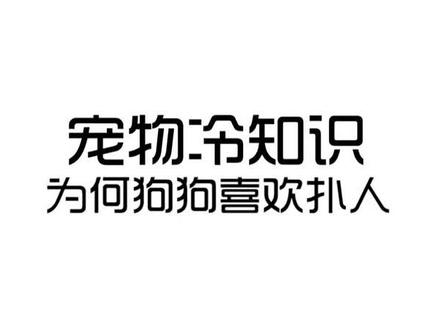 #萌宠出道计划 #萌宠 #狗狗 为什么狗狗喜欢扑人?