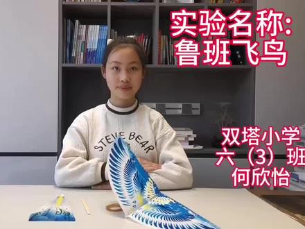 家庭小实验《鲁班飞鸟》