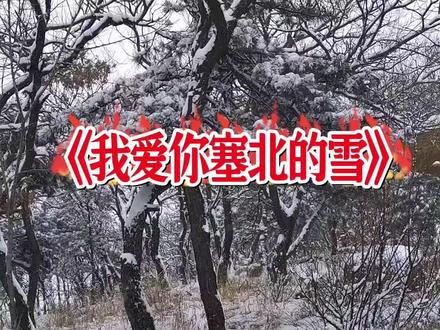 @瓦屋山景区 #瓦屋山冰雪登山挑战赛