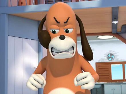 道哥狗,你好😏@抖音小助手 #咬出闪耀感 #宠物 #狗