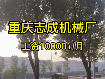 重庆志成,工资一万多,招叉车工,打磨工,接收大龄工有夫妻房。#同城推荐 #常年免费招工 #找工作 #好工作 #高工资 #重庆