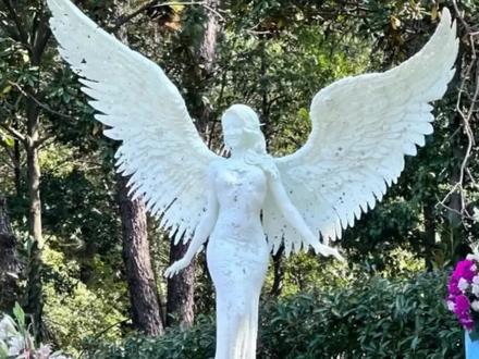 大S雕像成“照妖镜”!同是女神纪念像:李玟一眼认,姚贝娜刻进DNA,她怎么成了具俊晔的“私宠”? #明星八卦 #暑期档情报局 #暑期档测评员 #明星 #明星那些事