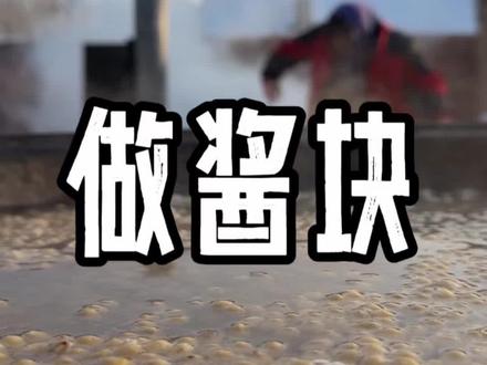 都说东北大酱臭,今天带朋友们看看它是怎么做的! #做大酱 #抖音新农人 #新农人计划2026 #茄子家大酱 #过年仪式感从腊月开始