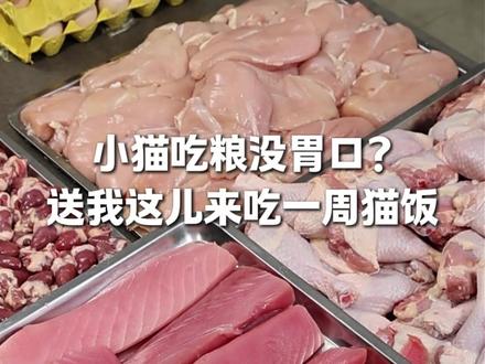 你家的猫咪不吃粮?那肯定是没试过咱家猫饭!#梵希猫饭 #猫咪 #猫饭 #宠物鲜食 #萌宠