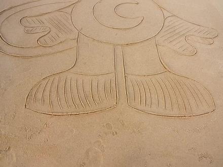 用饮料和水母打造沙上索尼克,这趣味挑战能成功吗? #解压 #实验 #挑战 #创意 #DIY