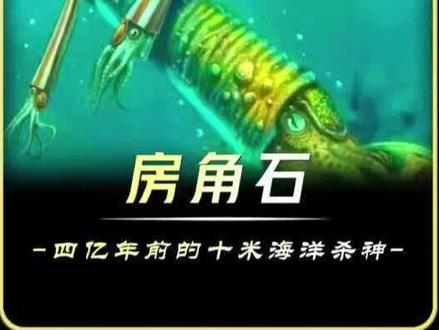 房角石是什么,是你昨天吃掉的鱿鱼,它的祖先曾让整片海洋颤抖四亿年。 #房角石 #科普 #科普一下 #神奇动物在抖音 #知识前沿派对