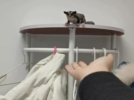 宝贝,你终于回来了😭
#内容过于真实 #看到最后 #宠物