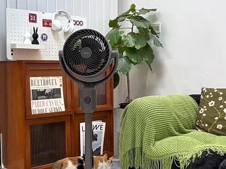天气越来越热了,你们家是不是也缺一台这样的#落地扇 它不仅颜值高,而且实用性也很强,可以放在客厅里用,也可以摆在卧室里用,它的风力很大,吹起来很舒服,无论是休息还是看电视都能用,有了它再也不怕热了。这么好的东西千万不要错过了#空气循环扇 #电风扇 #小家电 #空气循环扇推荐