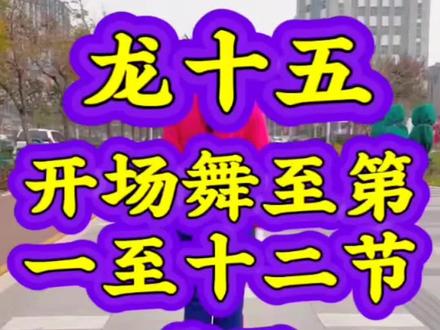 #龙十五套 开场舞至 第一至十二节 背面