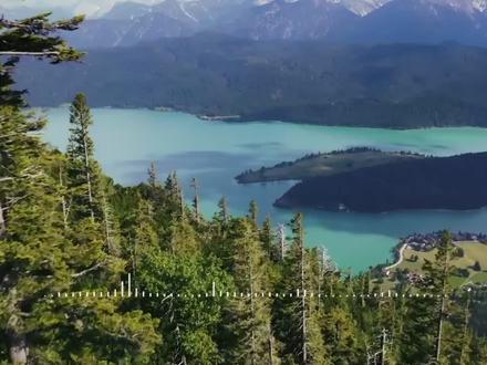 《Dehors(外面)》-Jordann,当你打破束缚你的牢笼,我们将去往乌托邦~#Dehors #音乐分享 #Jordann #音乐 #宝藏歌曲