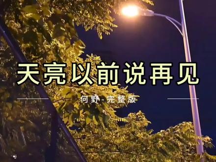 天亮以前说再见-何野《完整版》