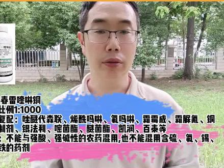 春雷喹啉铜使用方法 用法用量 稀释倍数? #春雷喹啉铜