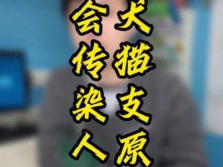 犬猫支原体会感染人吗?#新手养猫 #兽医 #萌宠好物