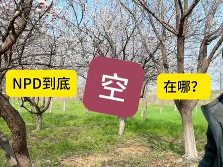 为什么说NPD是空心人 面具;为什么会觉得NPD厉害,血包很多;每次都是随拍,主打一个真实;#NPD #空心人
