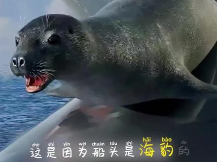 海豹为什么喜欢趴在船头上?你不知道的冷知识 #涨知识 #科学 #探索 #科普 #知识分享