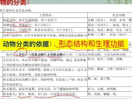 画重点‖尝试对生物进行分类重难点二:动物分类根据有无脊椎可以分成两大类 #初中生物 #动物分类 #脊椎动物 #每天跟我涨知识 #知识分享