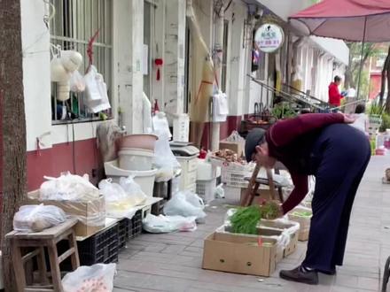 大胖媳妇好像懂了砍价文化 但是不多。。。#搞笑 #老外砍价 #一定要看到最后