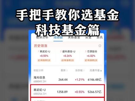 手把手教你选基金——科技基金篇,视频实操教学 更多干货分享,欢迎通过主页找到我们!
#指数基金 #资产配置 #选基金 #科技基金 #轻舟财富club