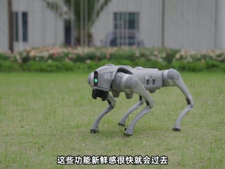 宇树Go2,未来可期,现在别买! #宇树科技 #go2机器狗 #抖音精选