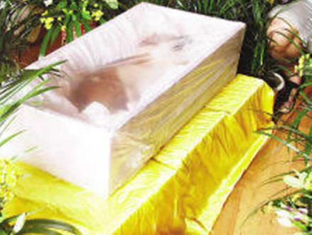 网红面筋哥因肝癌去世