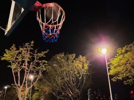 灯火阑珊 我的心借了你的光是明是暗 #篮球 #助手抖音 #抖音二创激励计划 #小半 #陈粒