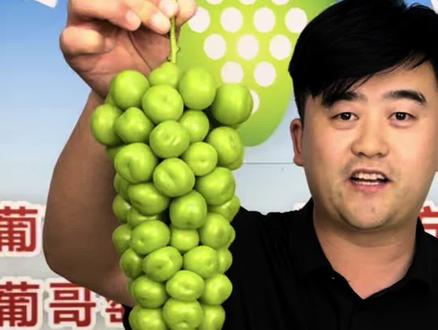 光微营养促控组合,区别于常规的控旺剂,首要是安全!壮树弱树都可用,重在促、控为辅!#葡萄健康栽培联盟 #光微促控组合