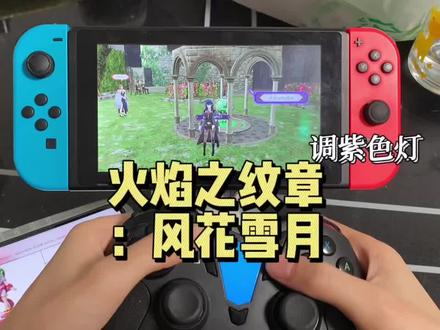 #amiibo #火焰纹章风花雪月 #任天堂switch 火焰纹章风花雪月@抖音小助手