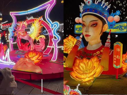 庐州新春灯会!好好看啊!#2026庐州新春灯会#逍遥津#逍遥津灯会