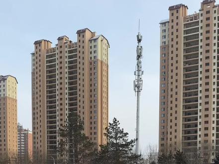 记录90后老板真实的一天#记录真实生活 #00后整顿职场