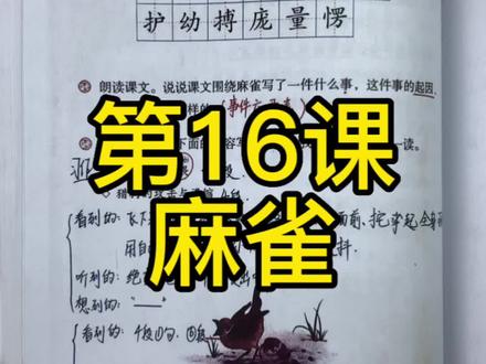 四年级上册第16课《麻雀》重点讲解#小学语文 #知识点总结 #课堂笔记