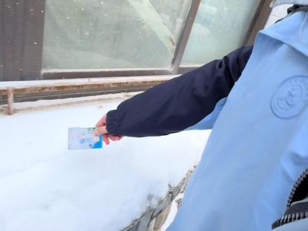 同学你别碰我们家霉豆腐#霉豆腐 #民间手艺 #雪