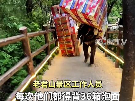 河南老君山景区拒绝用无人机、机器狗取代挑山工:我们有但我们不用。53岁女挑山工:背了11年,景区为我们保住了饭碗。#老君山挑山工才是山的代言人 #挑山工