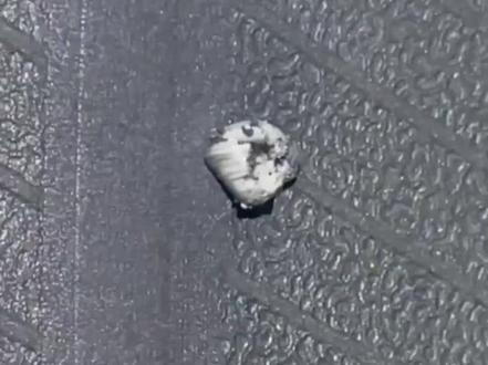 有了这套工具真是有备无患#补胎工具