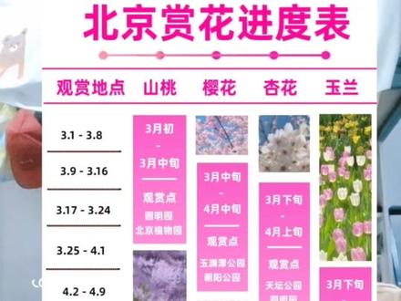 北京玉渊潭!三月底最想和谁一起看樱花?#玉渊潭公园#北京玉渊潭#北京玉渊潭公园赏樱花#玉渊潭攻略#北京旅游攻略 #北京玉渊潭