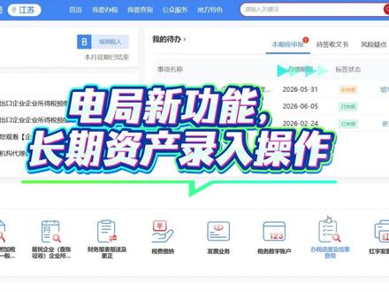 电局新功能,长期资产录入指南 2026年以后取得的超过500万长期资产要在电子税务局进行录入了,记得点赞,收藏加关注,谢谢!#税务 #增值税 #长期资产 #税务实操